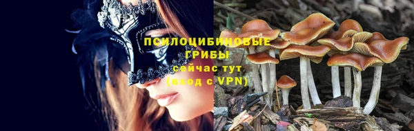 тгк Горняк